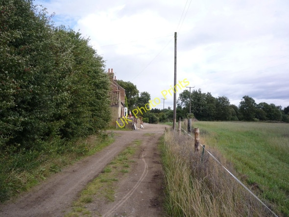 Photo 6"x4" Oak Tree Farm Raskelf c2010