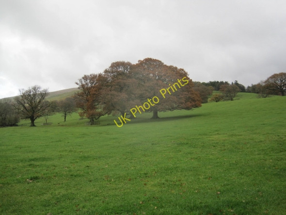 Photo 6"x4" Parkland near Barbon Manor Barbon c2010