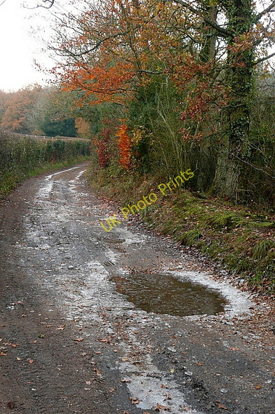 Photo 6"x4" Autumn and winter Beenham c2010
