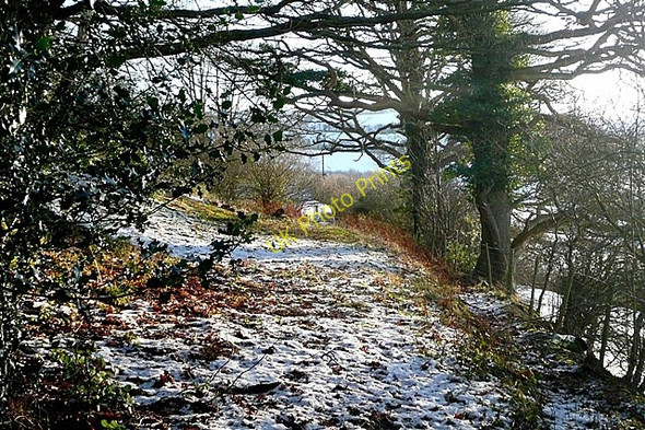 Photo 6"x4" Land at Alt Common Archenfield c2010