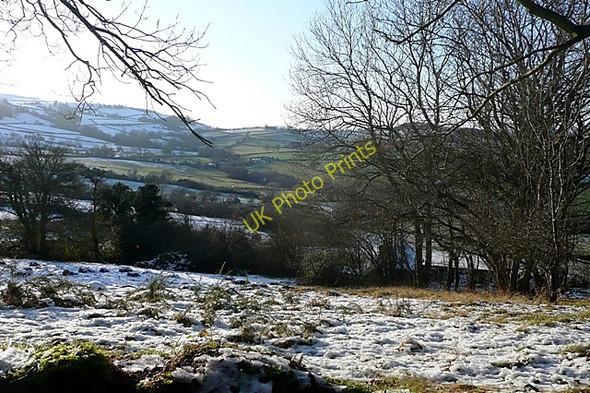 Photo 6"x4" Land at Alt Common Archenfield c2010