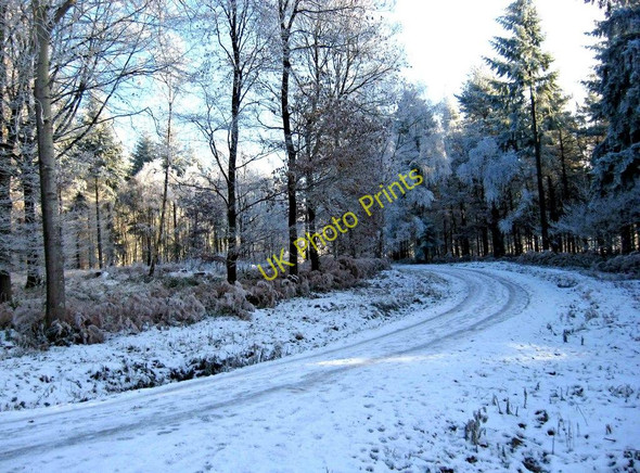 Photo 6"x4" A snow-covered forestry road in the Wyre Forest Buttonoak c2010