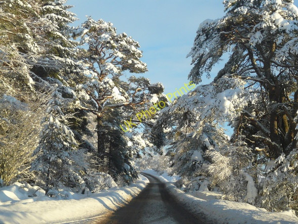 Photo 6"x4" The  A839 near Rosehall Altass c2010