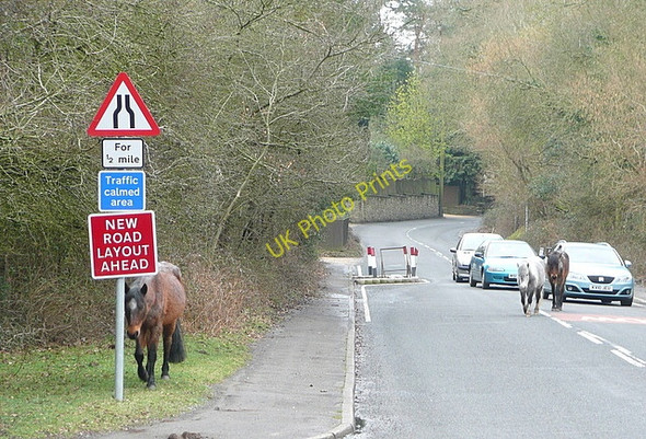 Photo 6"x4" Traffic jam at Burley Street Burley Street c2010
