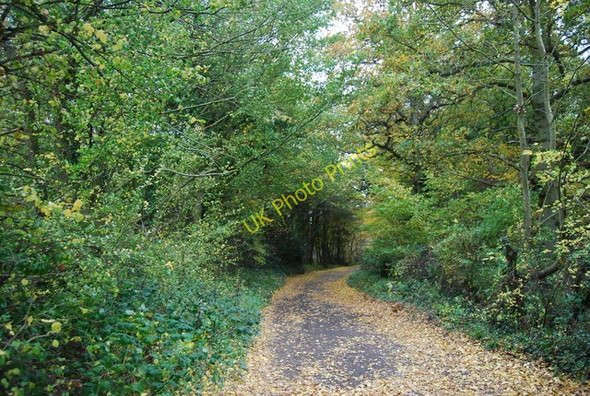 Photo 6"x4" 1066 Country Walk, Pain's Wood Bodle Street Green c2010
