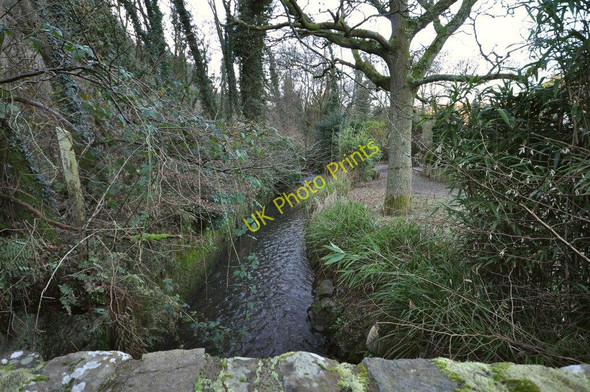 Photo 6"x4" The view downstream from Stony bridge on the river Caen Knowle\/SS4938 c2010