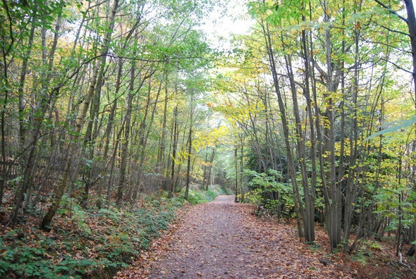 Photo 6"x4" Sussex Border Path in Chingley Wood Stonecrouch c2010