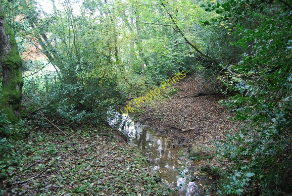 Photo 6"x4" Mottsmill Stream Lye Green\/TQ5134 c2010