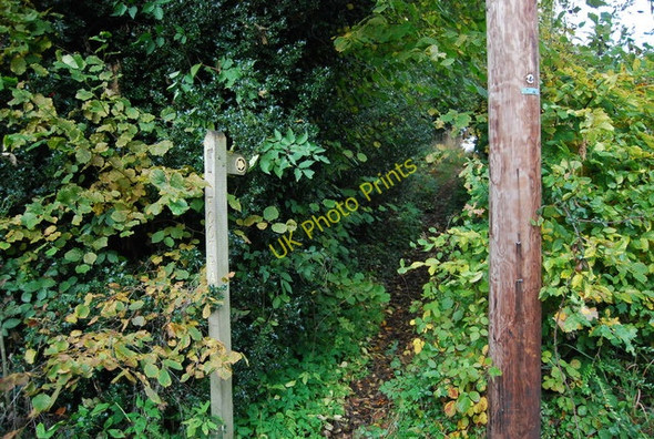 Photo 6"x4" Footpath signpost at Motts Mill Mott's Mill c2010