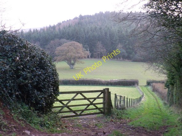 Photo 6"x4" Wychanger Coombe Luccombe\/SS9144 c2010