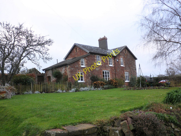 Photo 6"x4" Cottage, near Blackford House Blackford\/SS9245 c2010