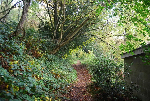 Photo 6"x4" Long Shaw Mott's Mill c2010