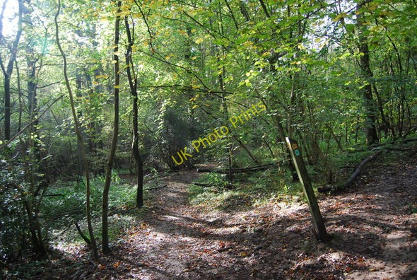 Photo 6"x4" Footpath junction, Long Shaw Mott's Mill c2010