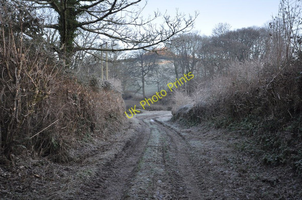 Photo 6"x4" Challowell Lane Knowle\/SS4938 c2010