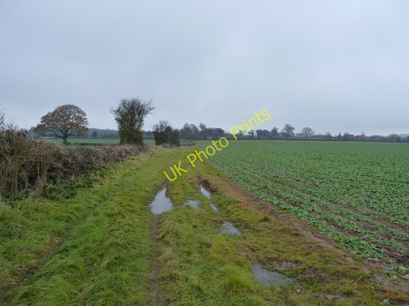 Photo 6"x4" Footpath towards the Salt Way Gallows Green\/SO9362 c2010