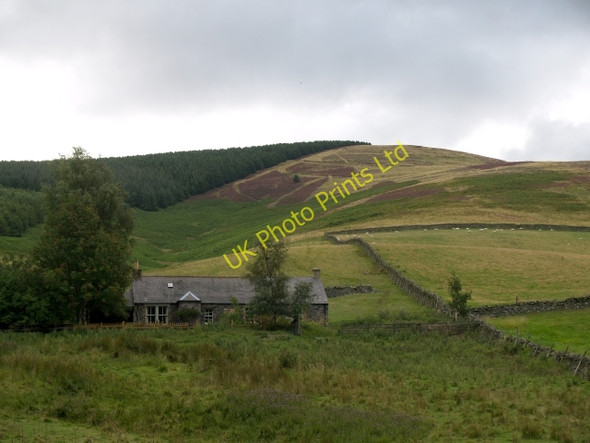 Photo 6"x4" Hope and Habs Cleuch Shank Cardrona c2006