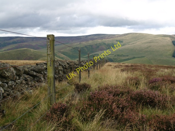 Photo 6"x4" Fence and Wall, Woolhope Hill. Williamslee c2006
