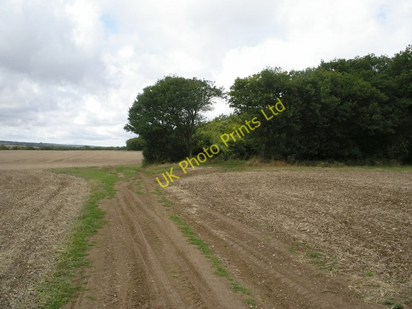 Photo 6"x4" Track heading to Bramdown Copse Steventon\/SU5447 c2006