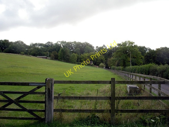 Photo 6"x4" Field north of Steventon Steventon\/SU5447 c2006