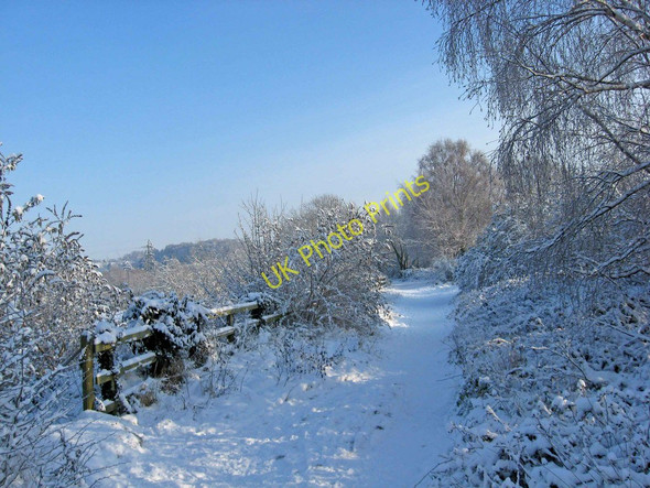 Photo 6"x4" Leapgate Country Park in the snow Stourport-on-Severn c2010