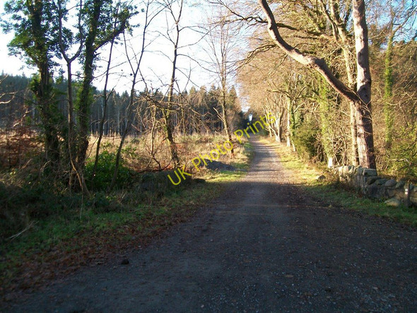 Photo 6"x4" Continuation westwards of Castle Walk from the junction with Lake Walk Castlewellan c2010