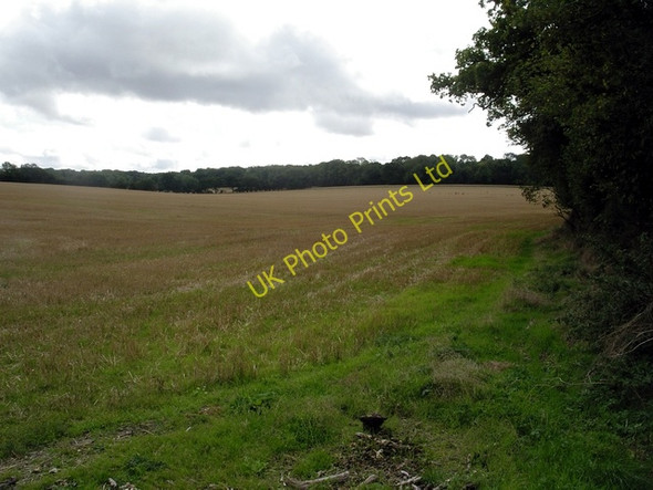 Photo 6"x4" Fields and woodland south of Steventon Steventon\/SU5447 c2006
