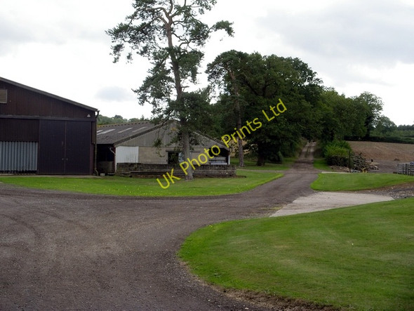 Photo 6"x4" Warren Farm Steventon\/SU5447 c2006