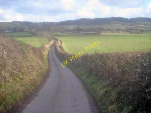 Photo 6"x4" Pitt Road Dorstone\/SO3141 c2010