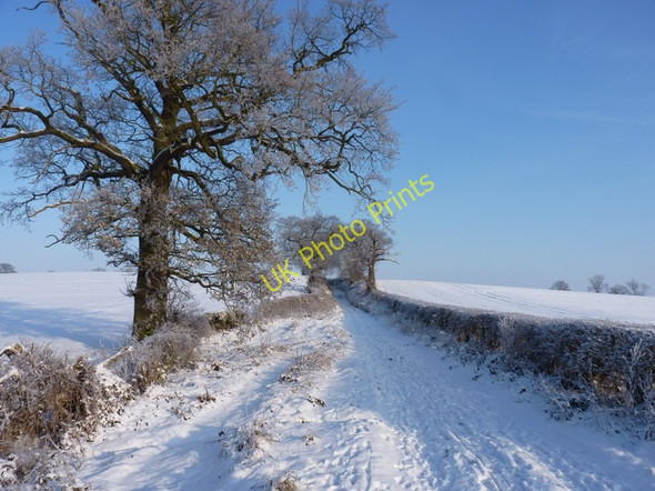 Photo 6"x4" Track to Top Barn Farm Bishops Wood c2010