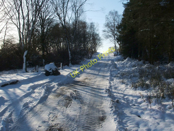 Photo 6"x4" Track from Maryland Farm Dumbarton c2010