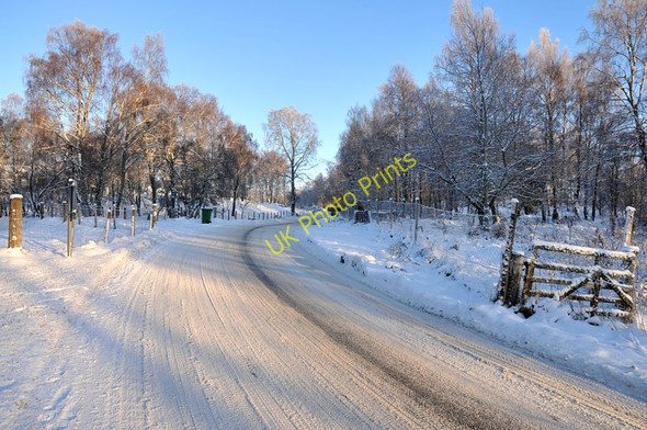 Photo 6"x4" B970 near Glencairn Boat of Garten c2010