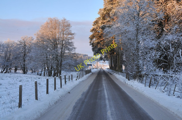 Photo 6"x4" Minor road near Coulnakyle Nethy Bridge c2010