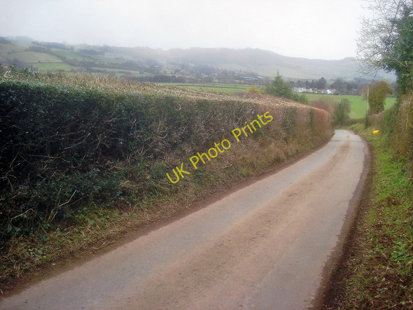 Photo 6"x4" Lane to Dorstone Dorstone\/SO3141 c2010