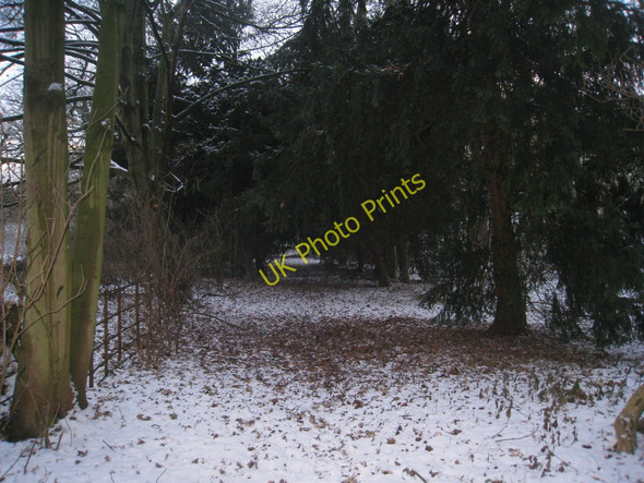 Photo 6"x4" Path through Ossington Park Moorhouse\/SK7566 c2010