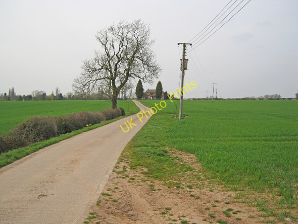 Photo 6"x4" Farm road at Seal Fields Farm Clifton Campville c2010