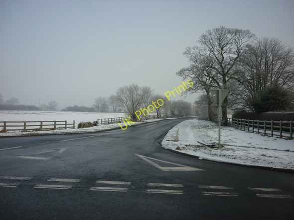 Photo 6"x4" Willows Flats near Ellerker West End\/SE9130 c2010