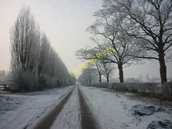 Photo 6"x4" Common Road towards Broomfleet West End\/SE9130 c2010