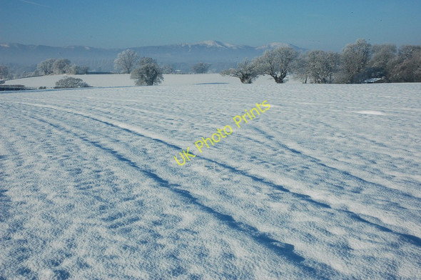 Photo 6"x4" Snowy landscape near Earl's Croome Earl's Croome c2010