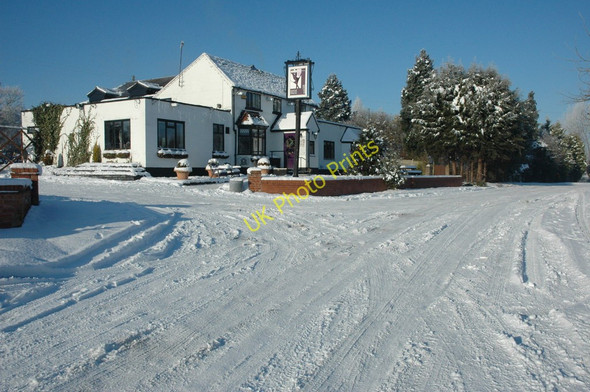 Photo 6"x4" The Yorkshire Grey Earl's Croome c2010