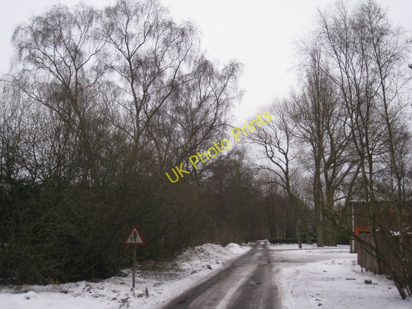 Photo 6"x4" Lane at Rainford's Corner Scotton\/SK8899 c2010