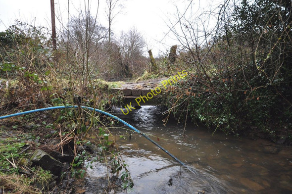Photo 6"x4" A track at Beer Mills which crosses the river Caen Boode c2010