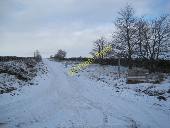 Photo 6"x4" Track and Byway towards Rebel Hill Catton\/NY8257 c2010