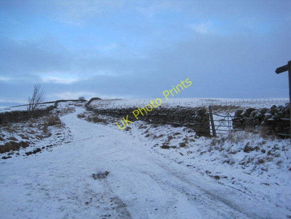 Photo 6"x4" Bridleway towards Greenrigg Moor Catton\/NY8257 c2010