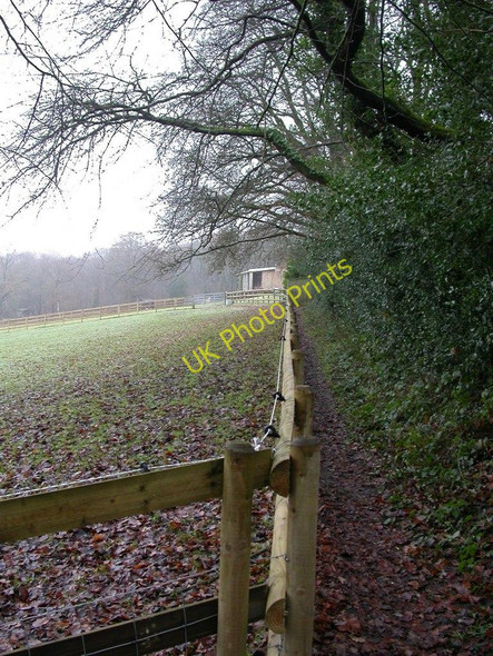 Photo 6"x4" Crow Hill, footpath Ringwood\/SU1505 c2010