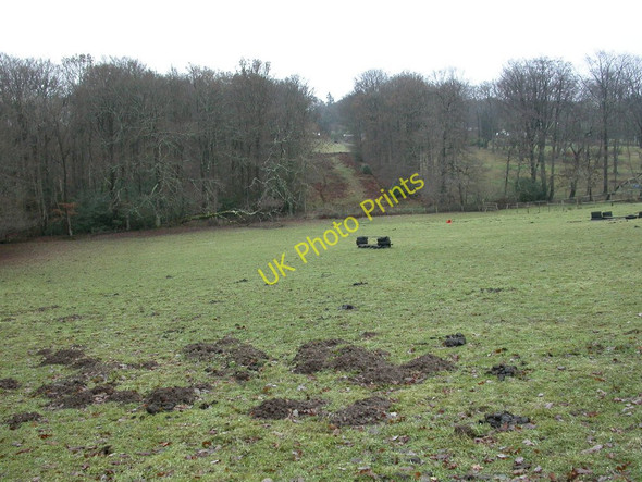 Photo 6"x4" Crow Hill, molehills Ringwood\/SU1505 c2010