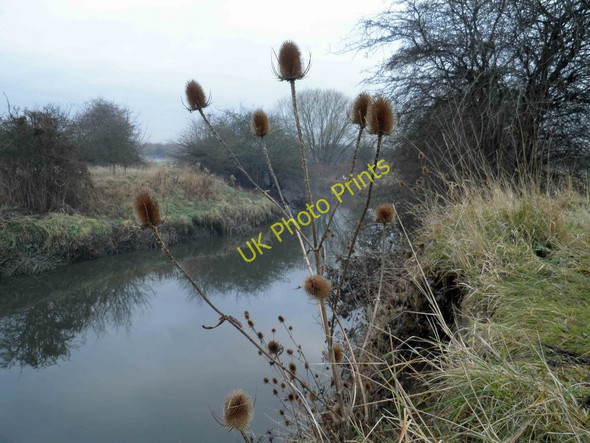 Photo 6"x4" The River Dearne near Broomhill Millhouses\/SE4204 c2010