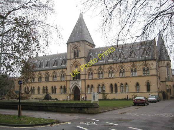 Photo 6"x4" Oxford University Museum of Natural History Oxford\/SP5106 c2010