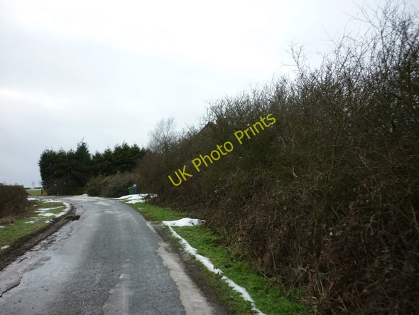 Photo 6"x4" Littlewood Road towards South Newbald High Hunsley c2011