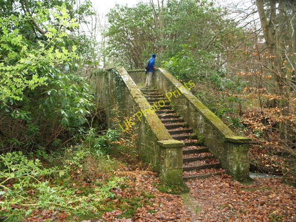 Photo 6"x4" Bridge over Bridleway - Path to nowhere Chelwood Gate c2008