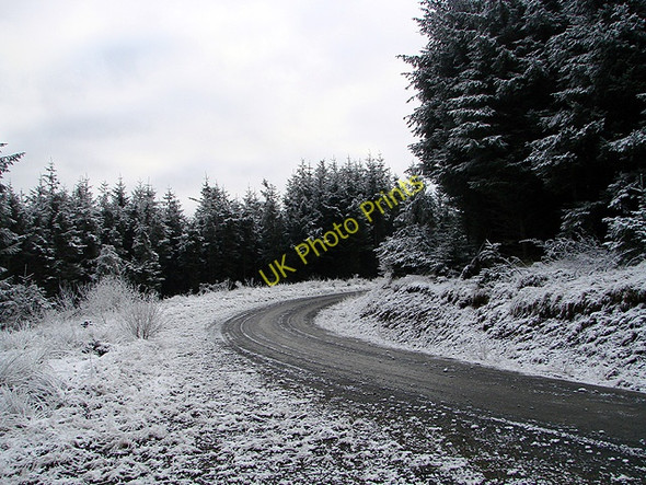 Photo 6"x4" Forestry track at Esgair Ychion Llanifyny c2011